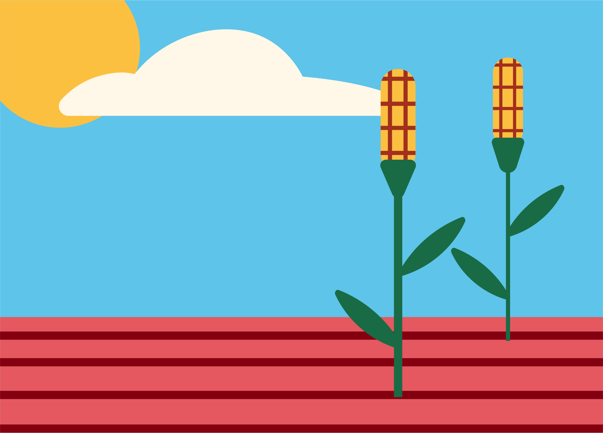 Agriculture illustration